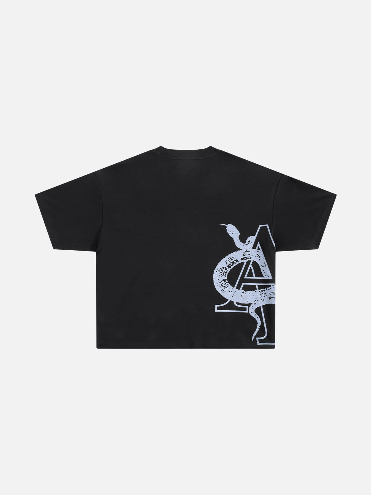 Aelfric Eden Boxy Snake Graphic Tee