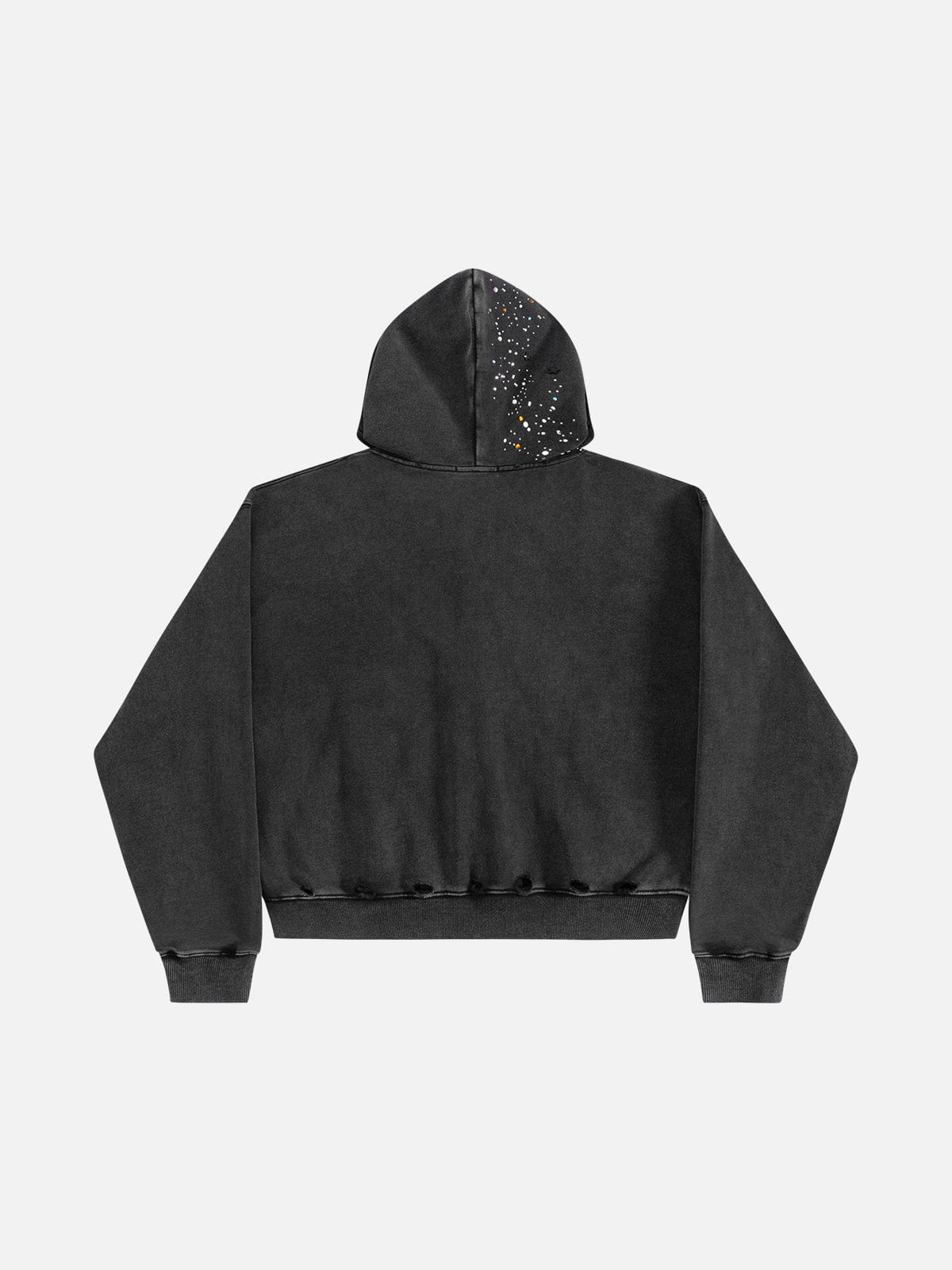 Sudadera con capucha Aelfric Eden Rhinestone Boxy Zip Up V302