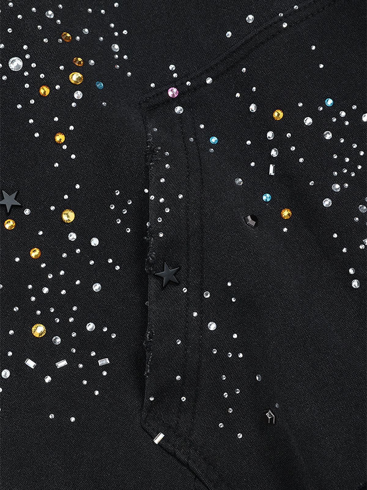 Sudadera con capucha Aelfric Eden Rhinestone Boxy Zip Up V302