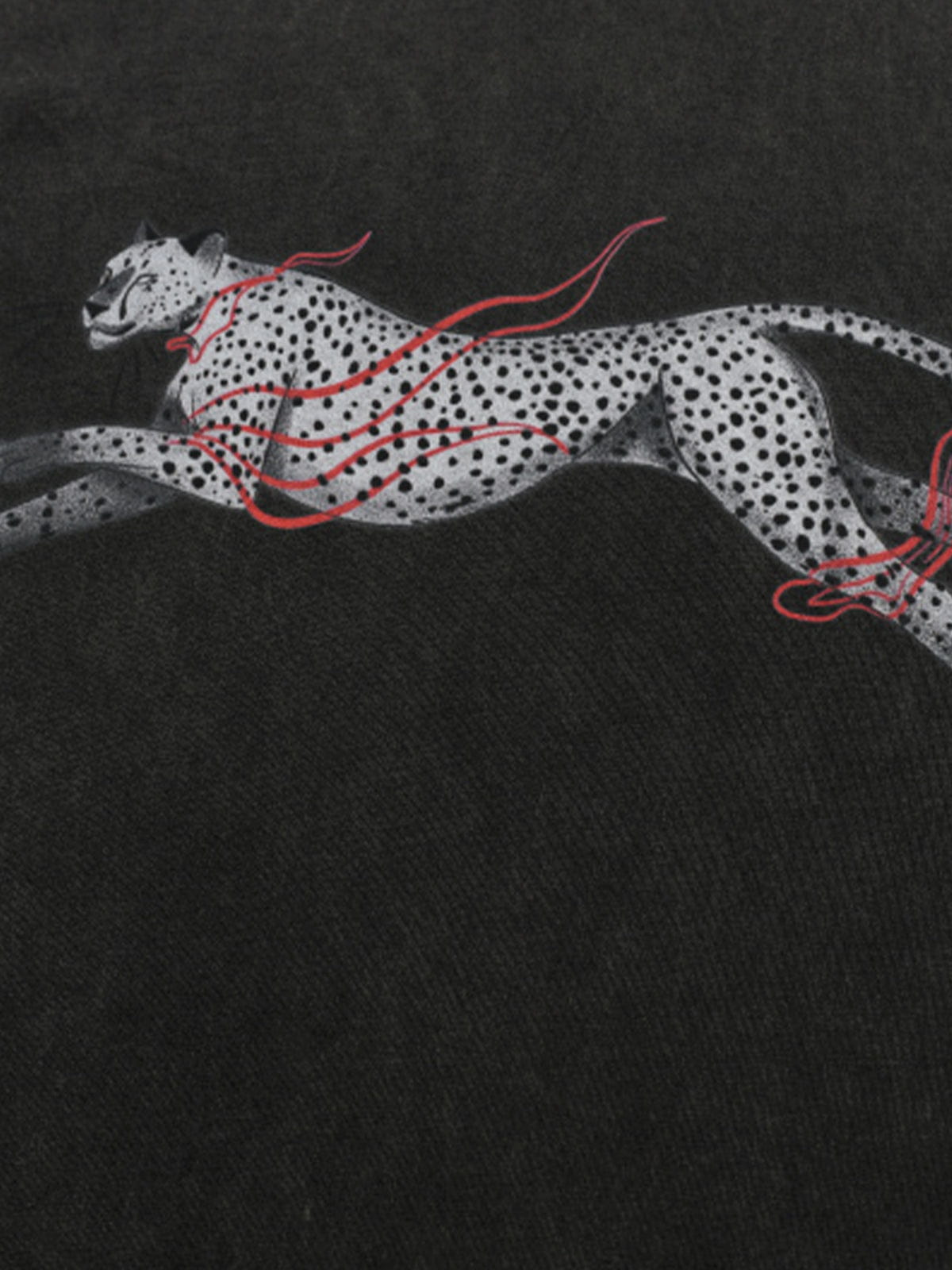 Aelfric Eden Boxy Washed Leopard Tee