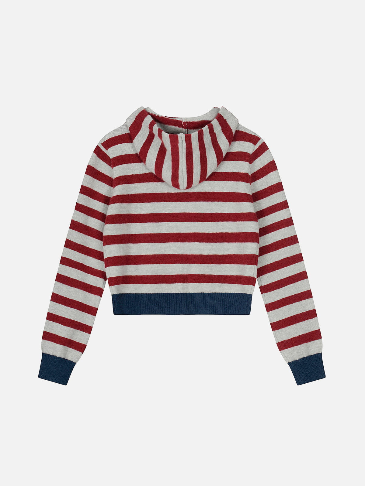 Sweat à capuche zippé en maille rayée Aelfric Eden
