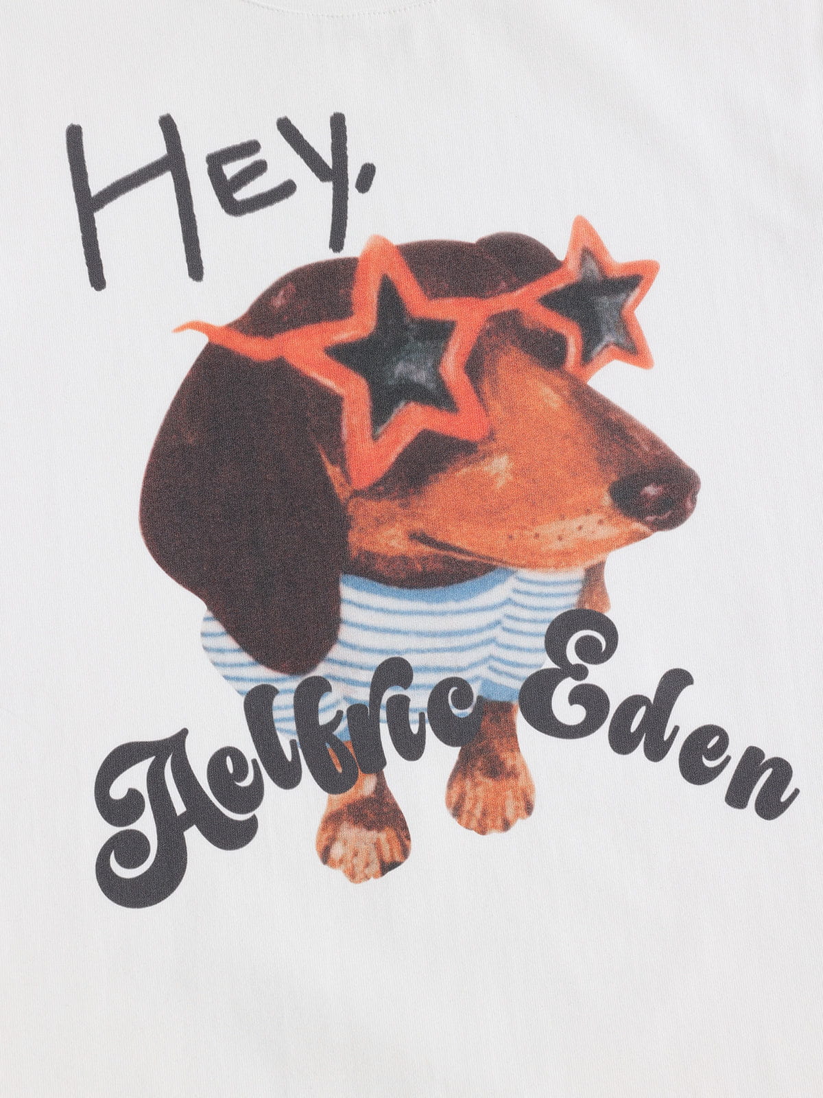 Aelfric Eden Dachshund Graphic Tee