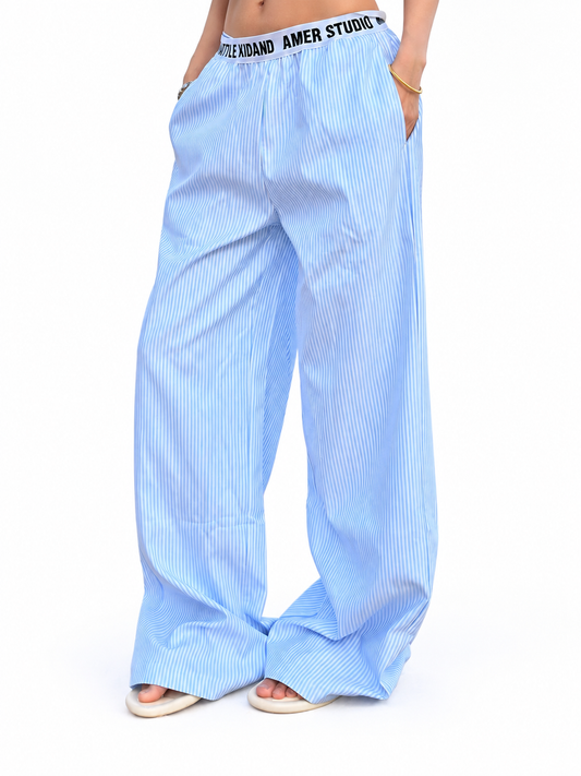 Ace Jolun light blue pinstripe wide-leg pants detail view