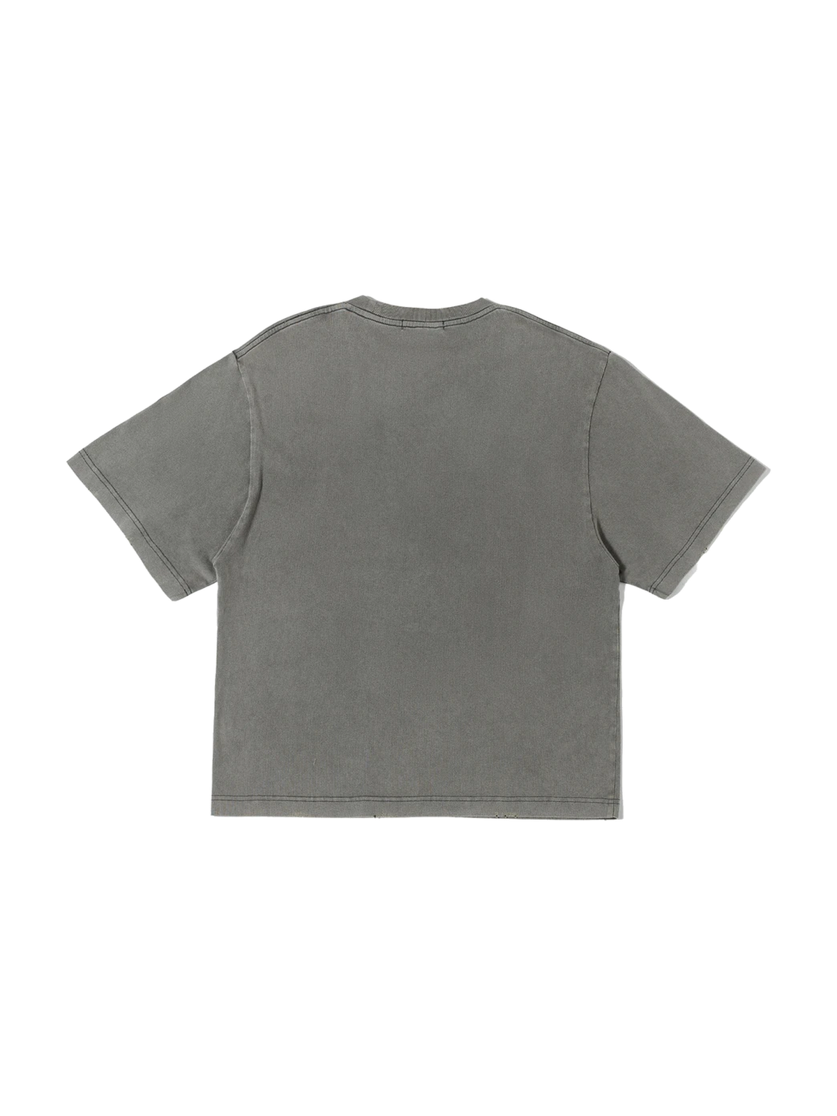 Kowloon Ink-Wash Graphic Tee product image 2