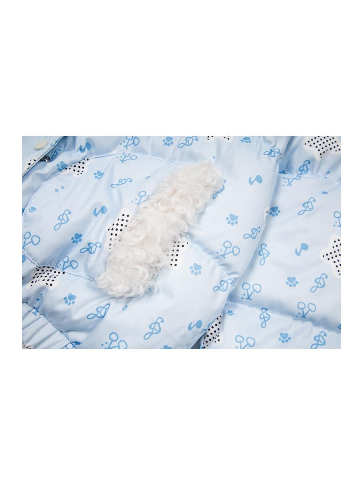 Ace Jolun. Cherry Paw-Print Puffer Jacket product image 4